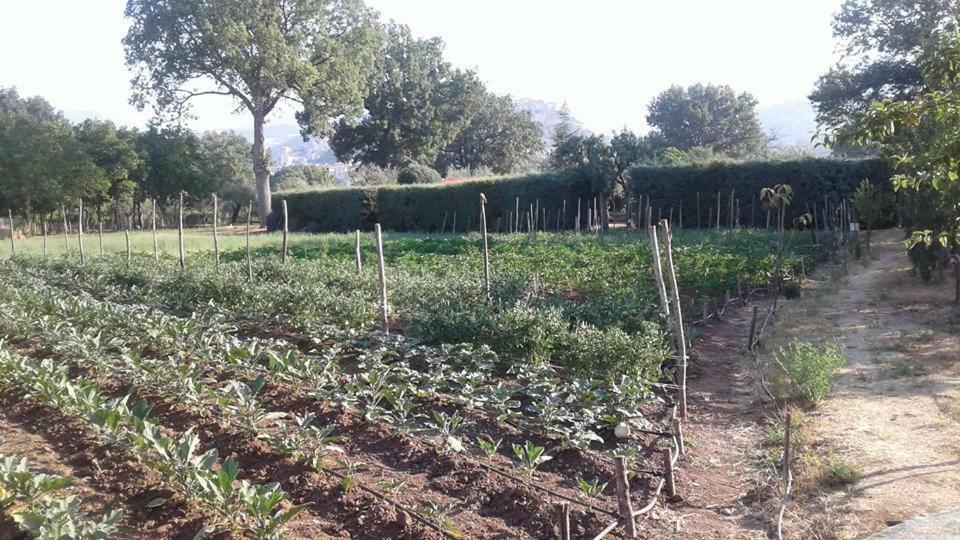 Agriturismo Tre Santi Villa Padula Ngoại thất bức ảnh