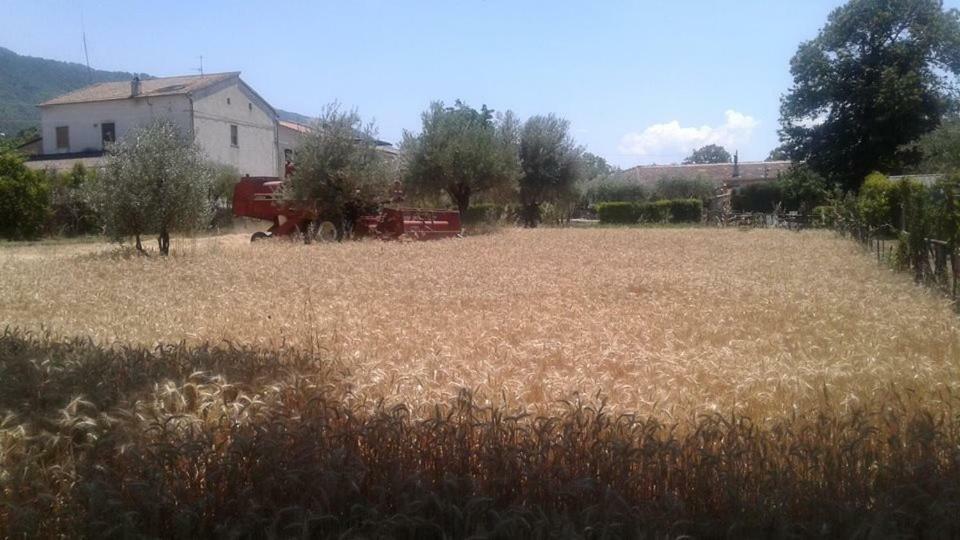 Agriturismo Tre Santi Villa Padula Ngoại thất bức ảnh